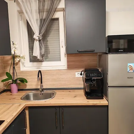 Apartamento Erika House *